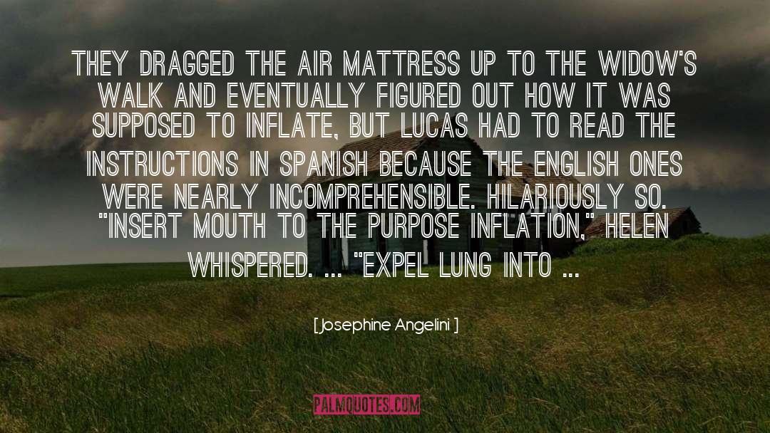 Air Mattress quotes by Josephine Angelini