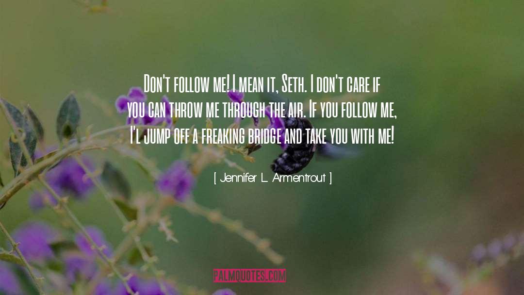 Air Mattress quotes by Jennifer L. Armentrout