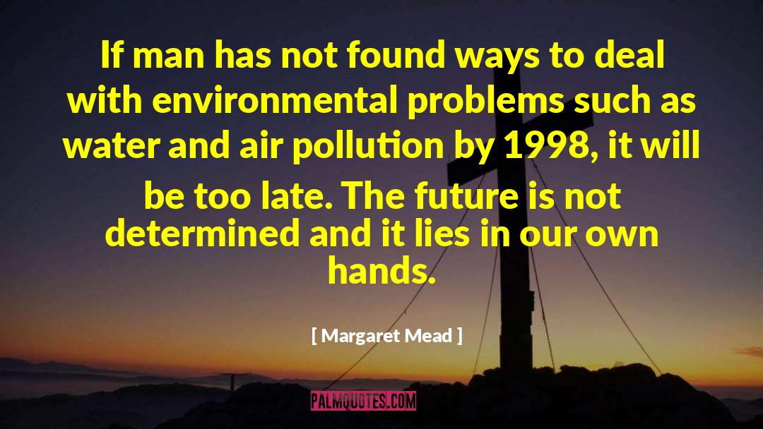 Air Pollution quotes by Margaret Mead