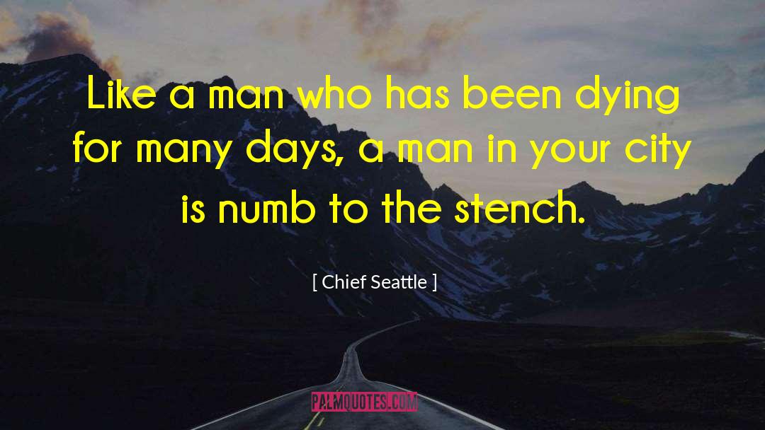 Air Pollution quotes by Chief Seattle