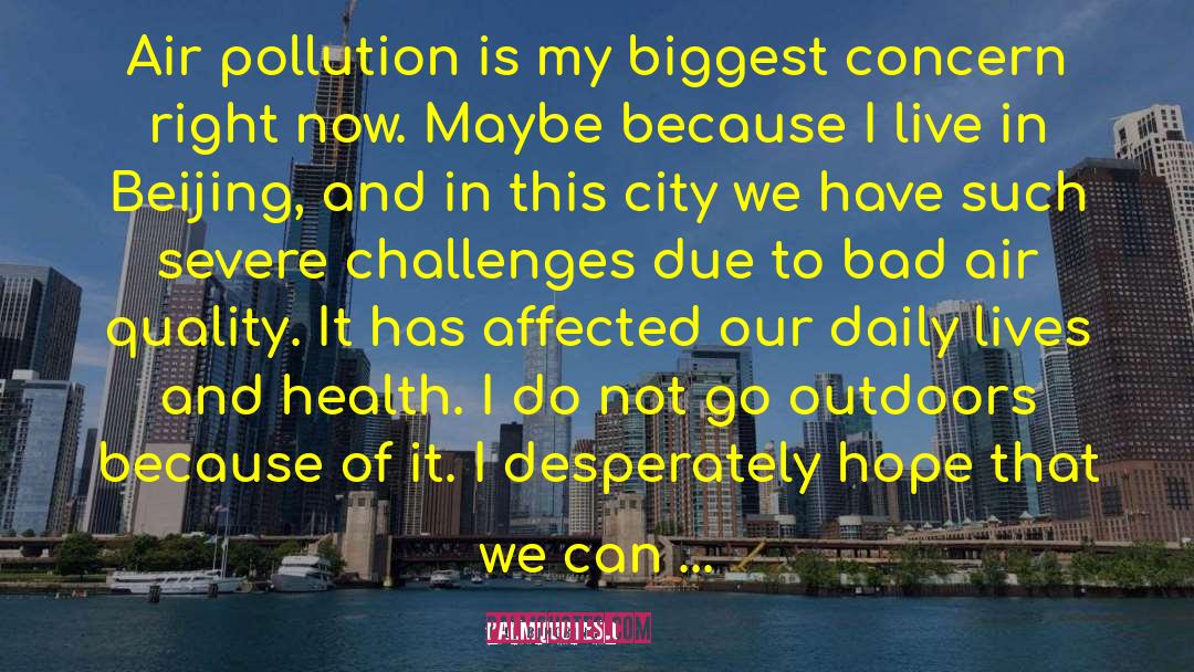 Air Pollution quotes by Li Bingbing