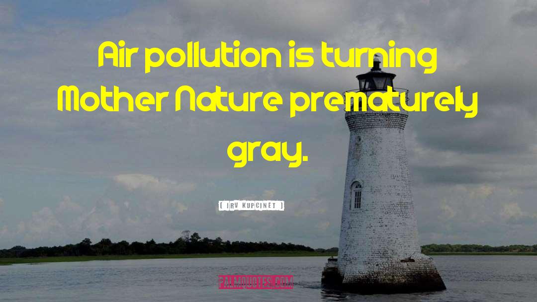 Air Pollution quotes by Irv Kupcinet