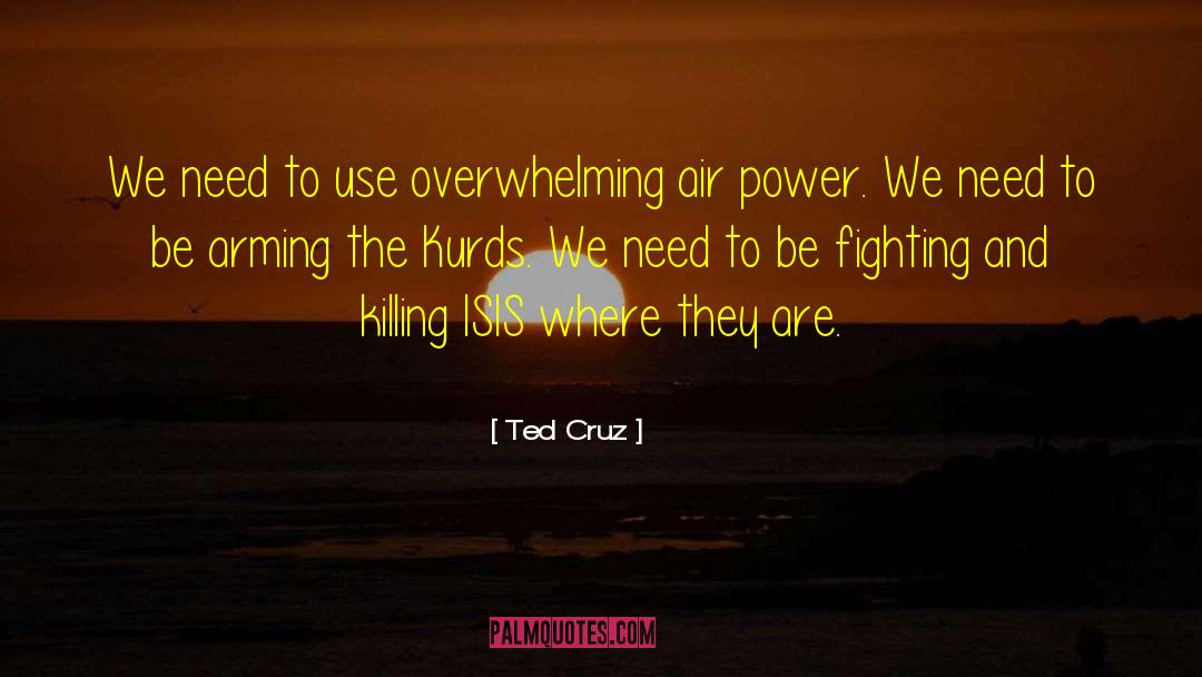 Air Power quotes by Ted Cruz