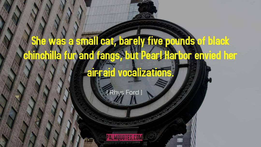 Air Raid quotes by Rhys Ford