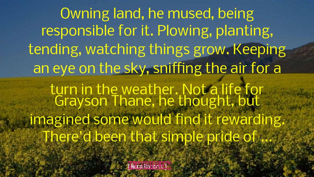Air Traffic quotes by Nora Roberts
