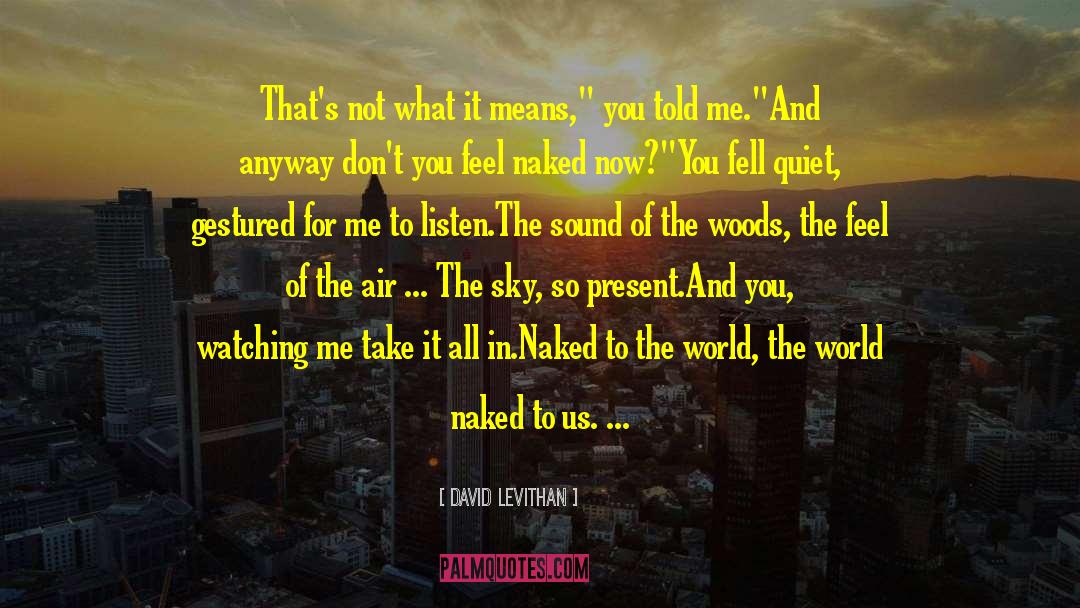 Air Traffic quotes by David Levithan