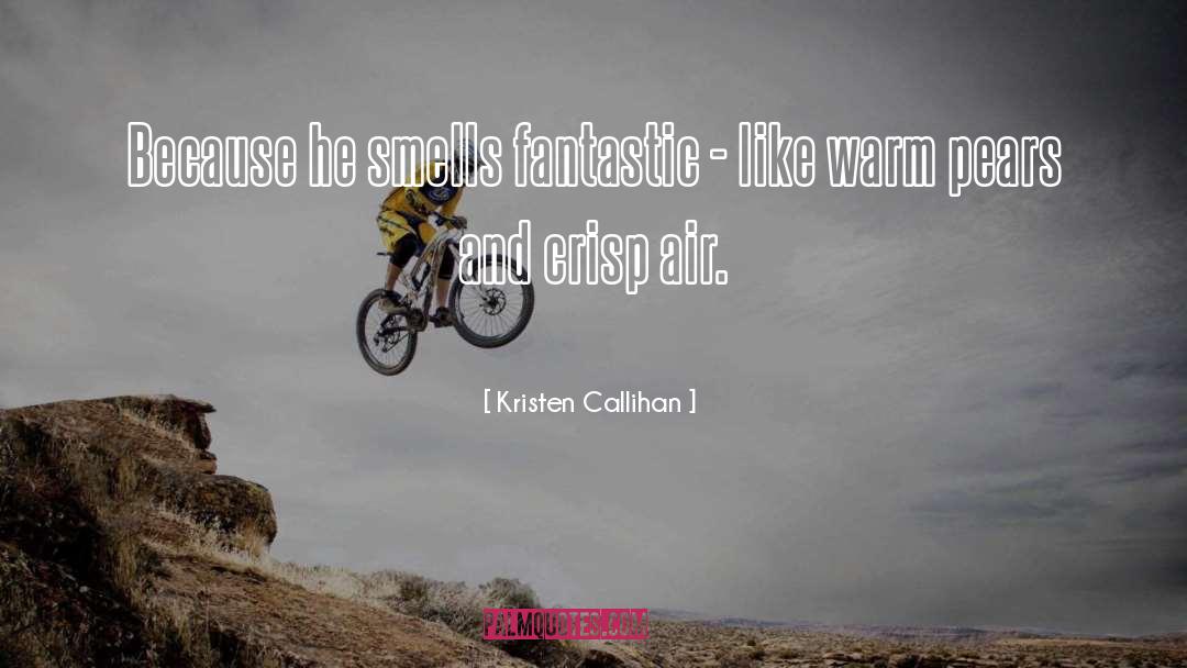 Air Traffic quotes by Kristen Callihan