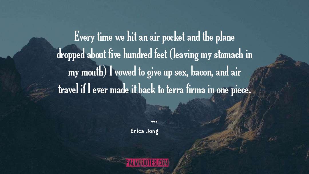 Air Travel quotes by Erica Jong