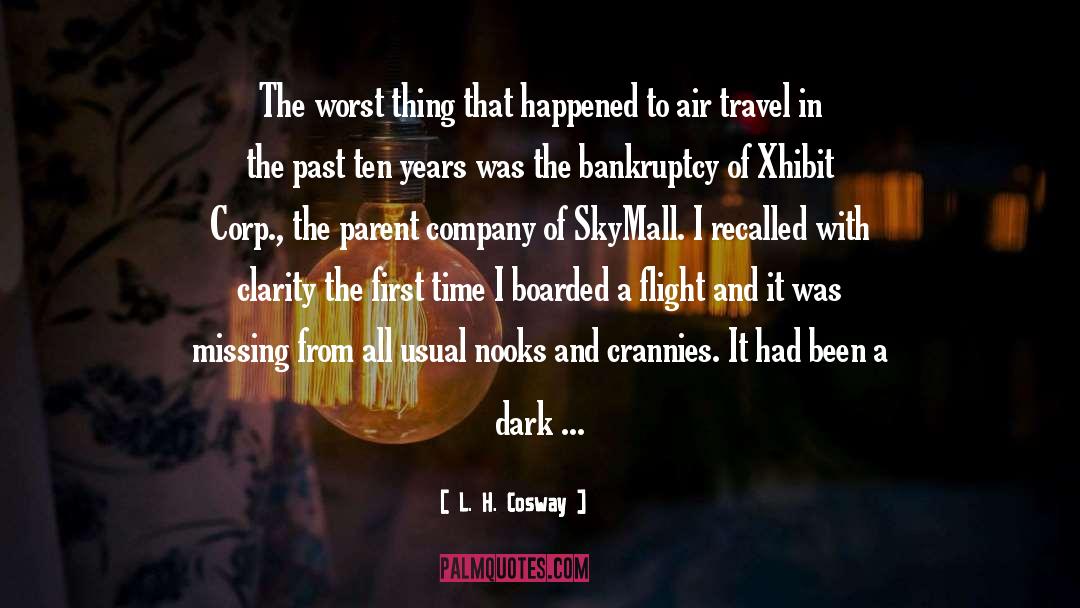 Air Travel quotes by L. H. Cosway