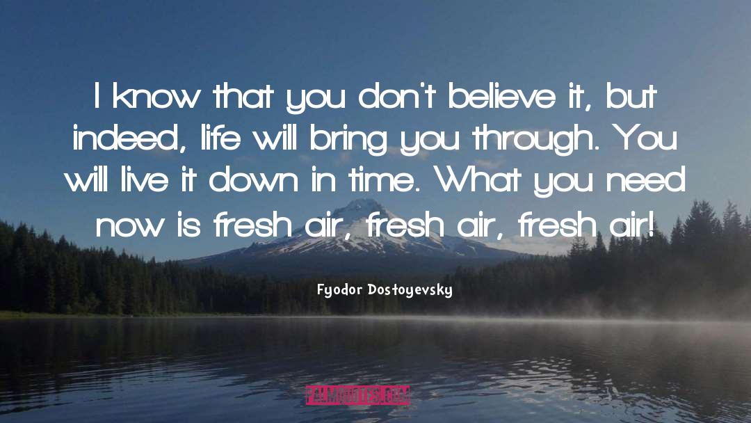 Air Travel quotes by Fyodor Dostoyevsky