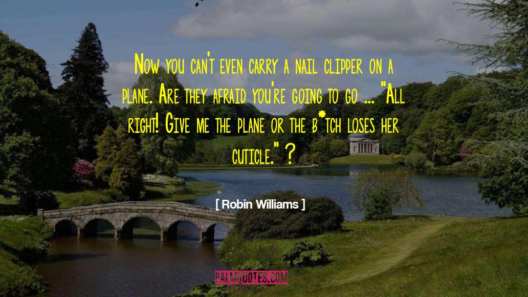 Air Travel quotes by Robin Williams