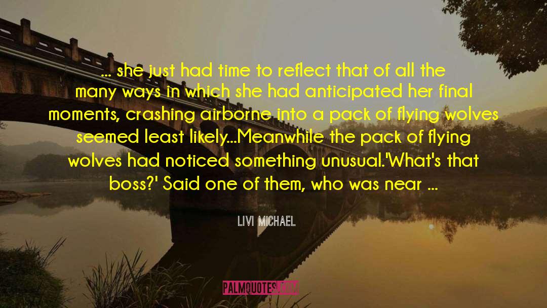 Airborne quotes by Livi Michael