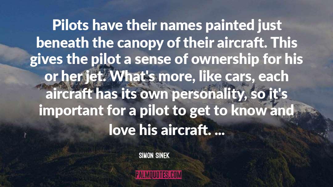 Aircraft quotes by Simon Sinek
