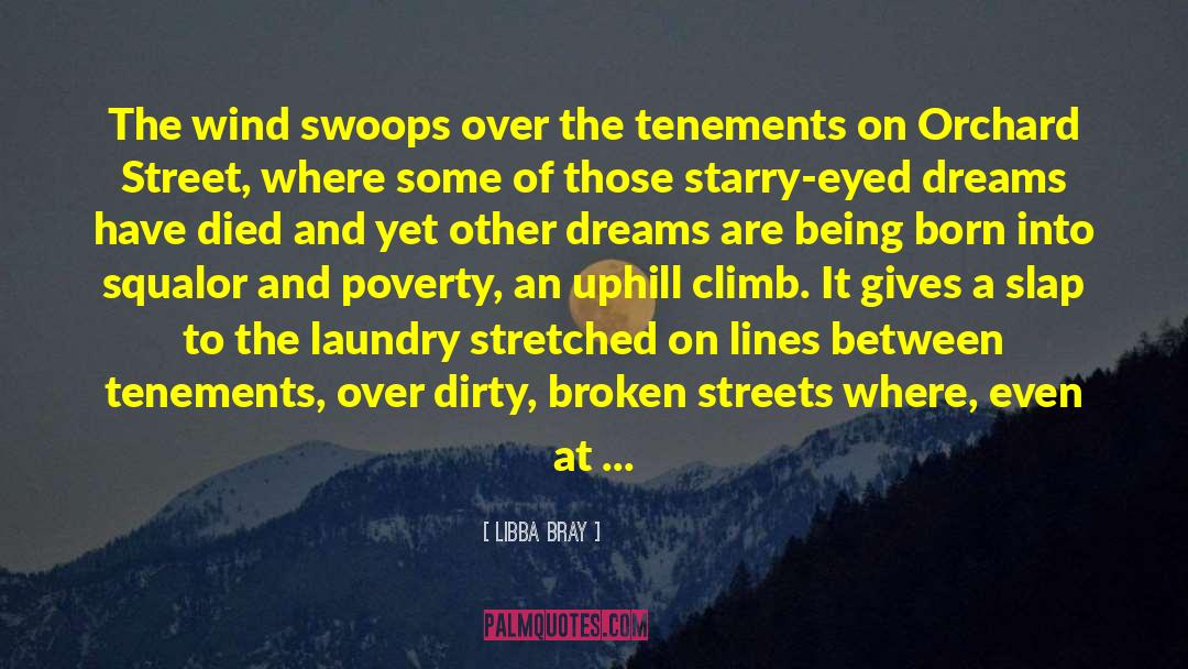 Airing Dirty Laundry quotes by Libba Bray