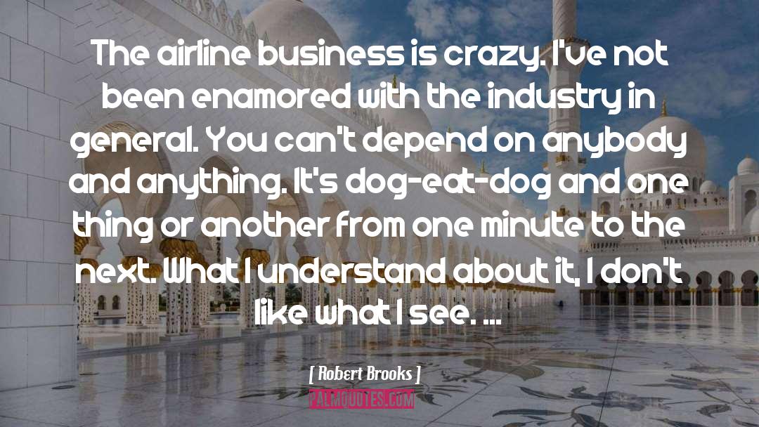 Airline Business quotes by Robert Brooks
