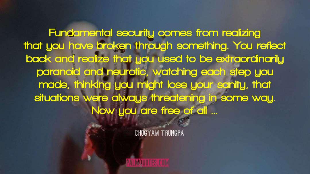 Airline Security quotes by Chogyam Trungpa