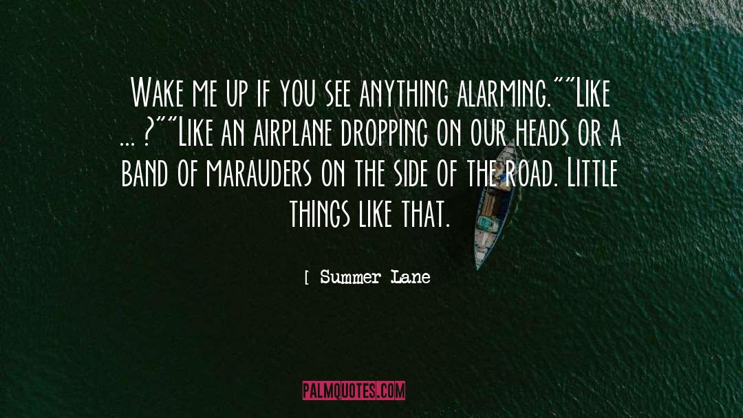 Airplane Crashes quotes by Summer Lane