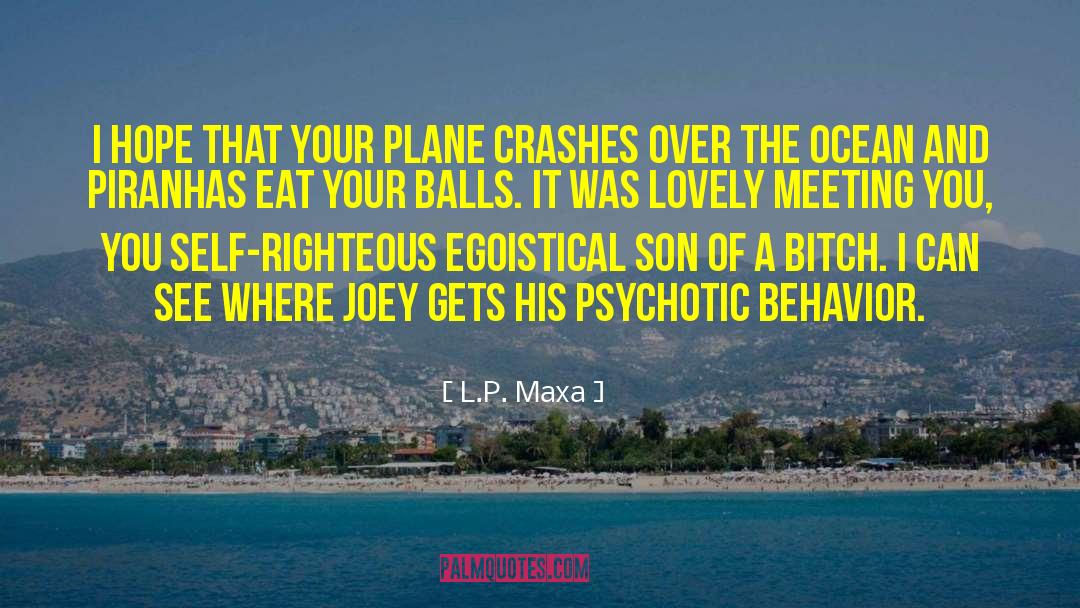 Airplane Crashes quotes by L.P. Maxa