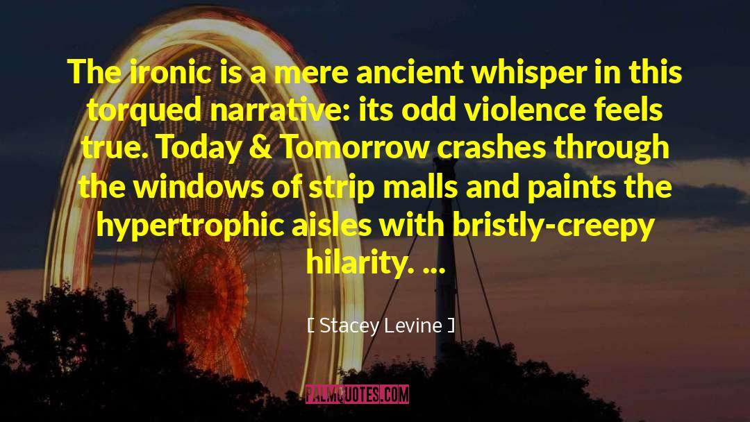 Airplane Crashes quotes by Stacey Levine