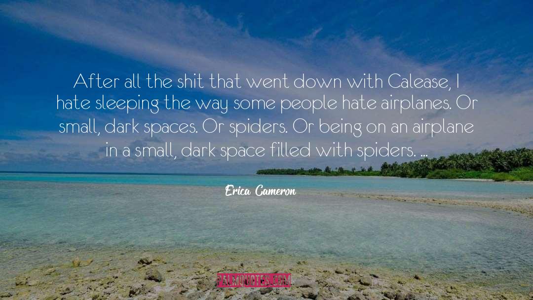 Airplane Crashes quotes by Erica Cameron