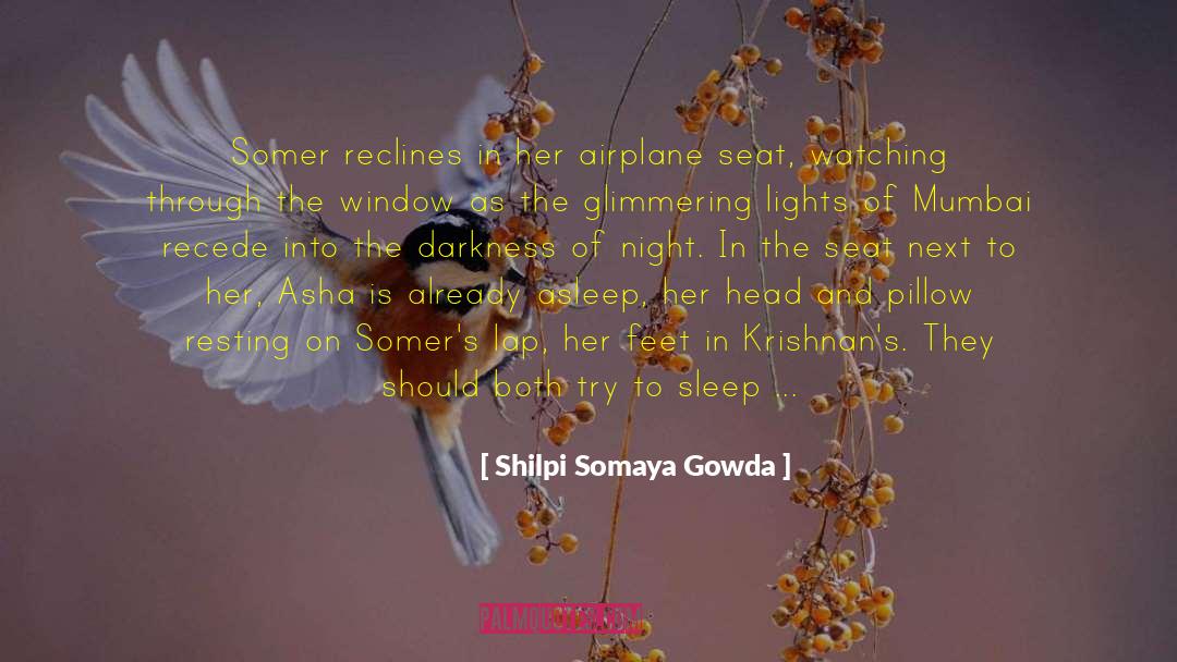 Airplane quotes by Shilpi Somaya Gowda
