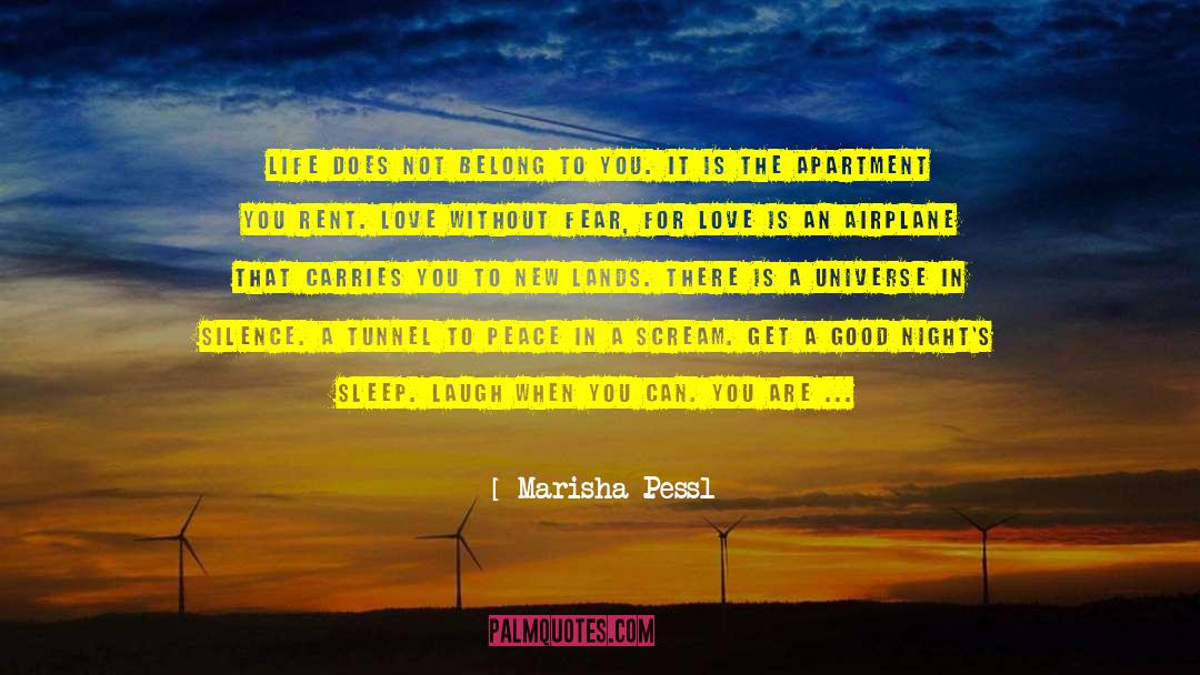 Airplane quotes by Marisha Pessl