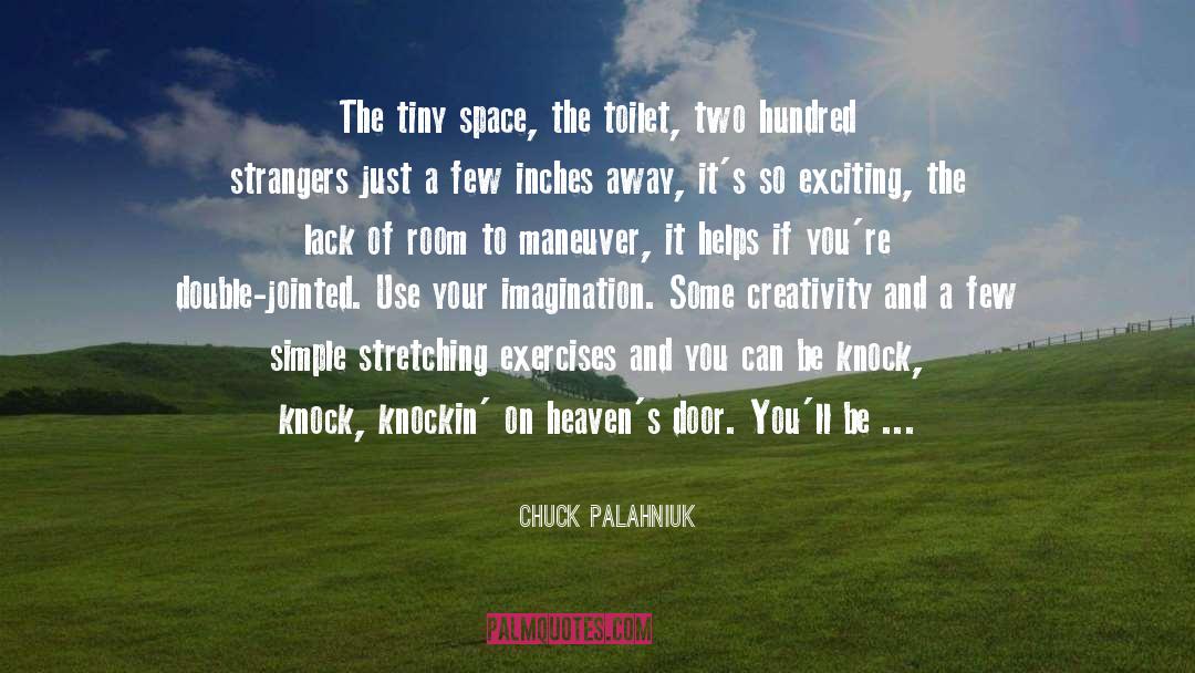 Airplane Toilets quotes by Chuck Palahniuk