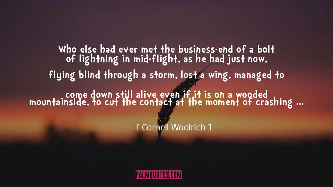 Airplane Toilets quotes by Cornell Woolrich