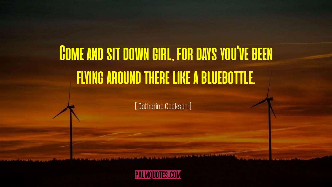 Airplanes And Flying quotes by Catherine Cookson