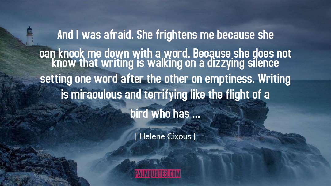 Airplanes And Flying quotes by Helene Cixous