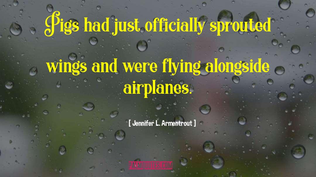 Airplanes quotes by Jennifer L. Armentrout