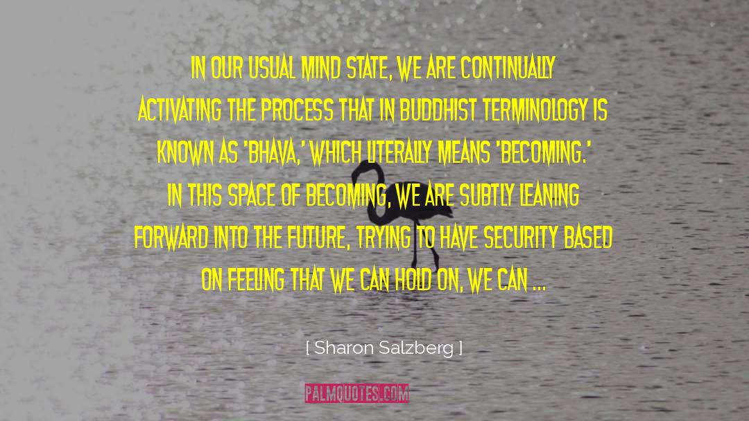 Airport Security quotes by Sharon Salzberg