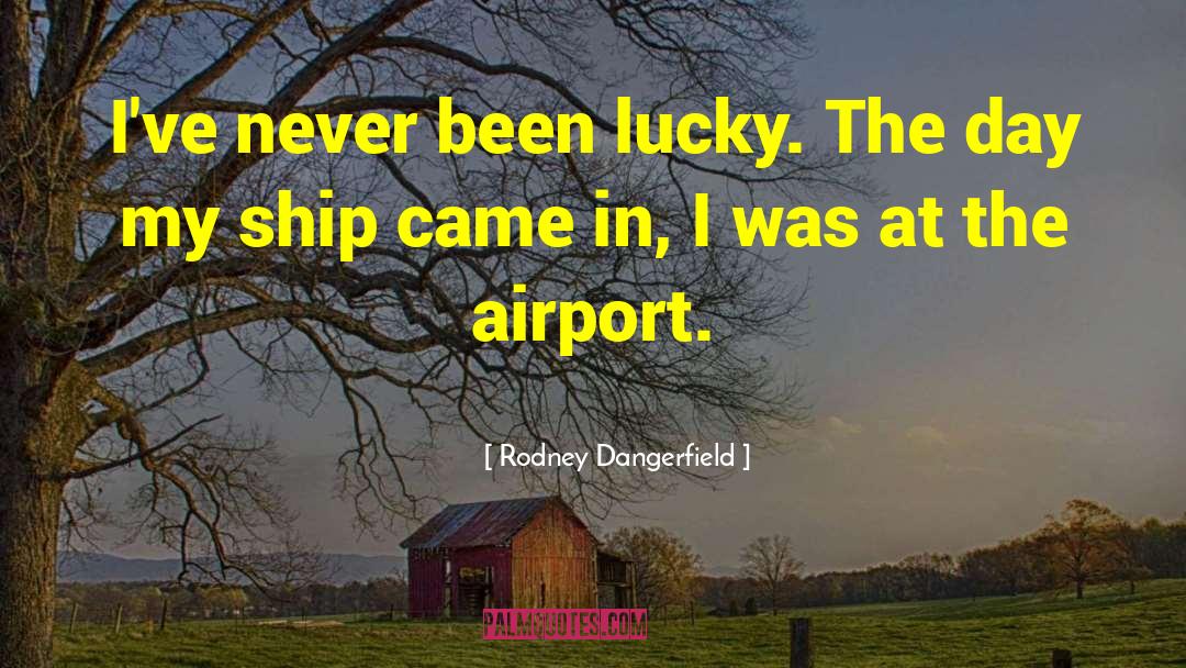 Airports quotes by Rodney Dangerfield