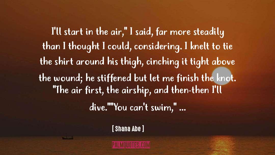 Airship quotes by Shana Abe
