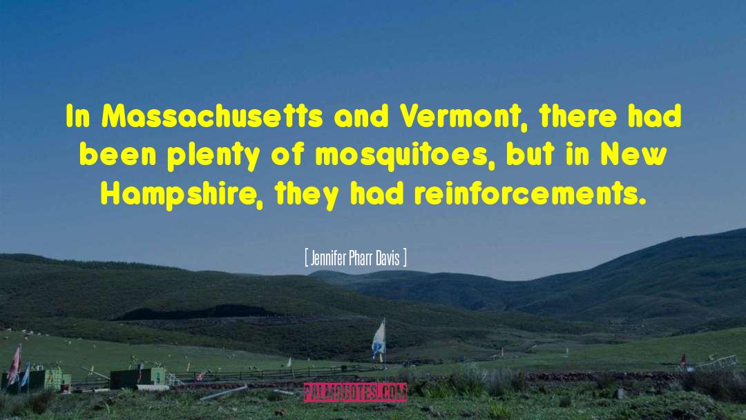 Airstrips In Vermont quotes by Jennifer Pharr Davis