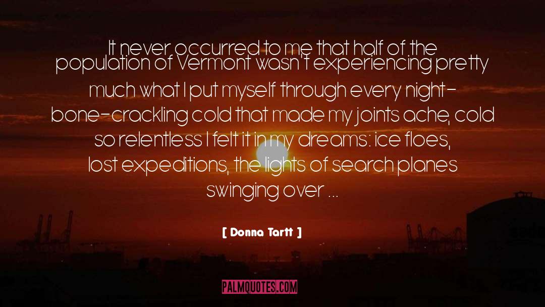 Airstrips In Vermont quotes by Donna Tartt