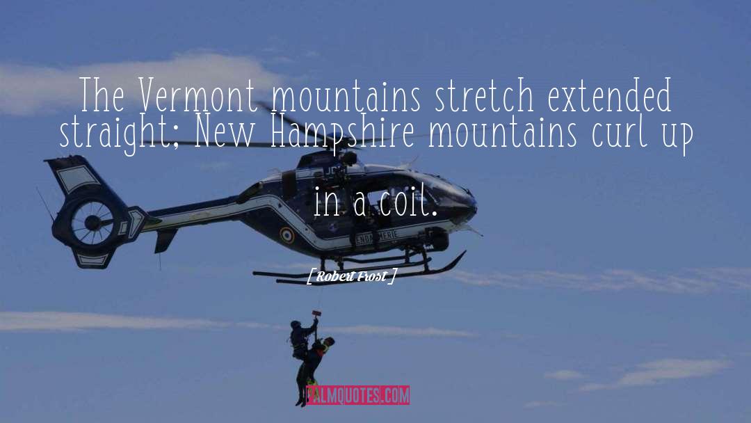 Airstrips In Vermont quotes by Robert Frost