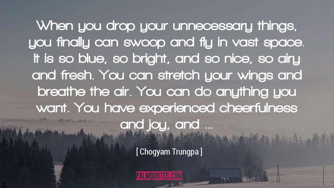 Airy quotes by Chogyam Trungpa