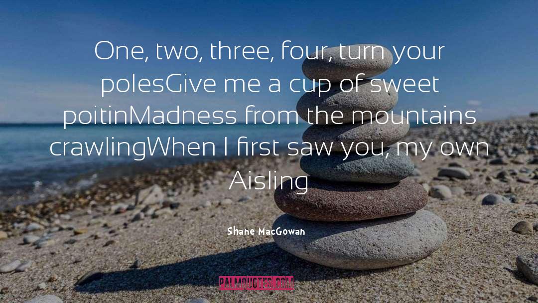 Aisling quotes by Shane MacGowan