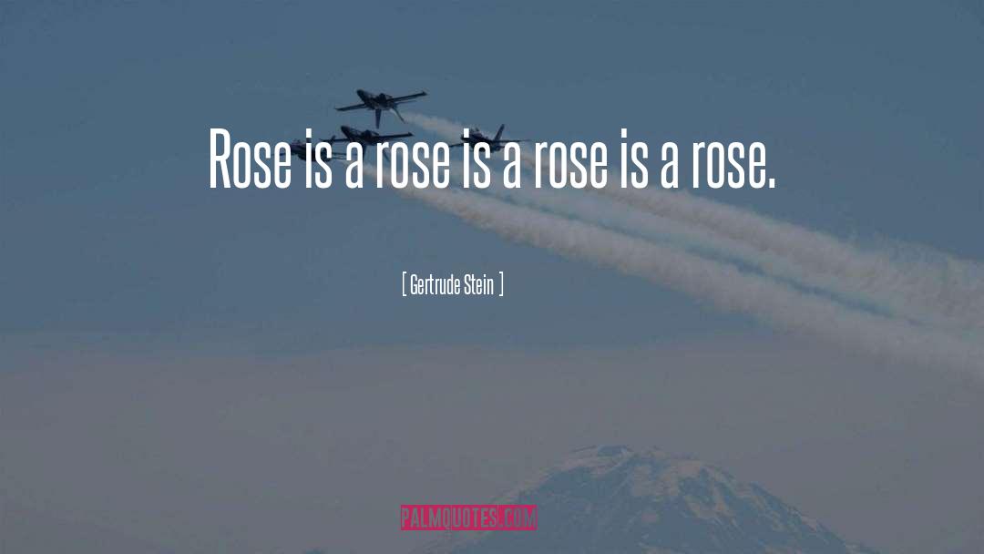 Aizpurua Rose quotes by Gertrude Stein