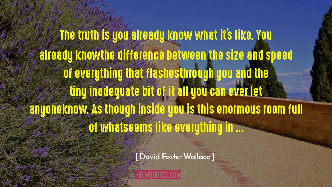 Ajillo In English quotes by David Foster Wallace