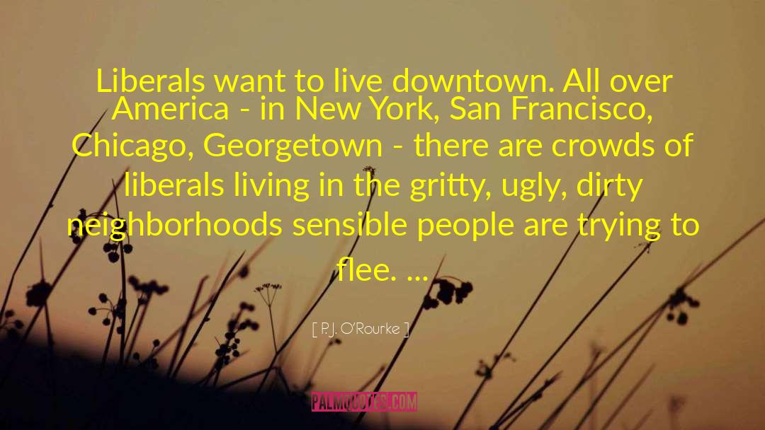 Akerlof Georgetown quotes by P. J. O'Rourke