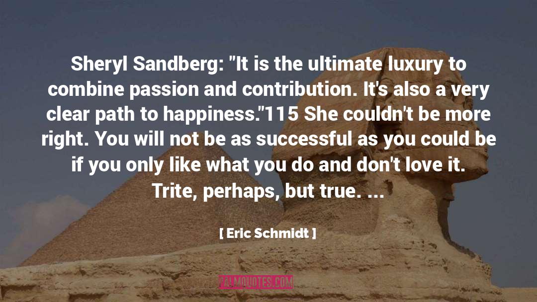 Akkan Luxury quotes by Eric Schmidt