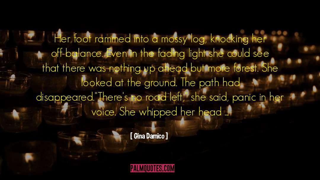 Akram Path quotes by Gina Damico