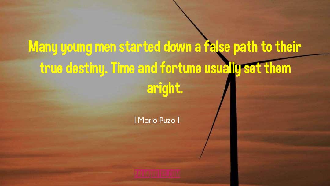 Akram Path quotes by Mario Puzo