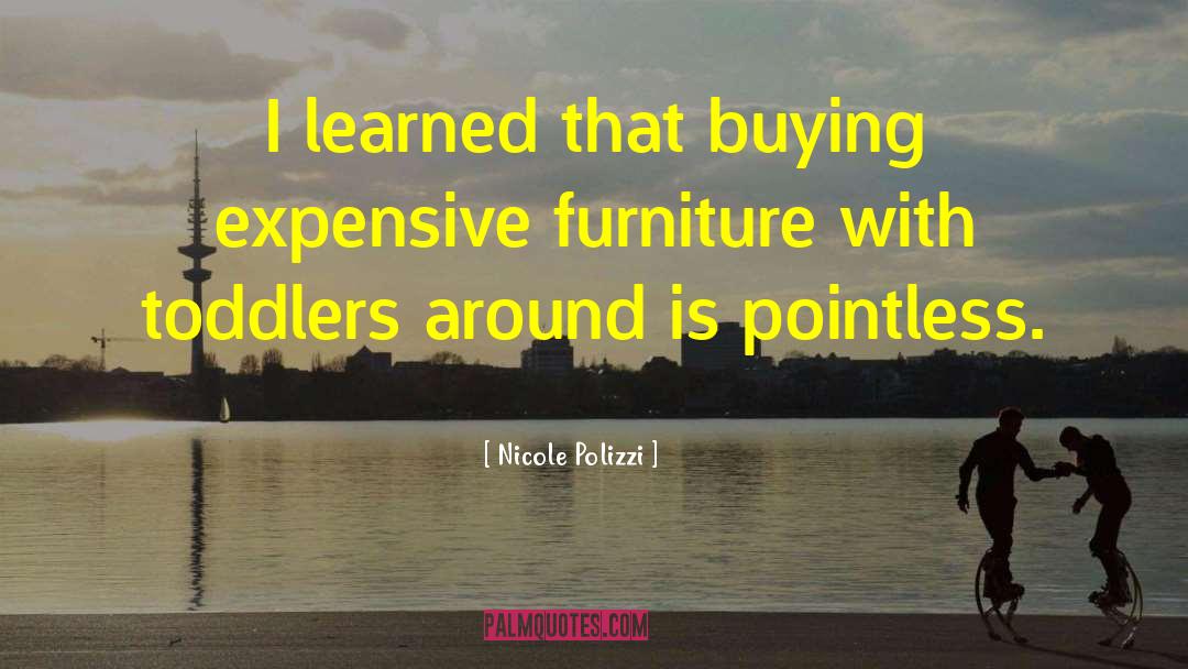 Akthar Furniture quotes by Nicole Polizzi