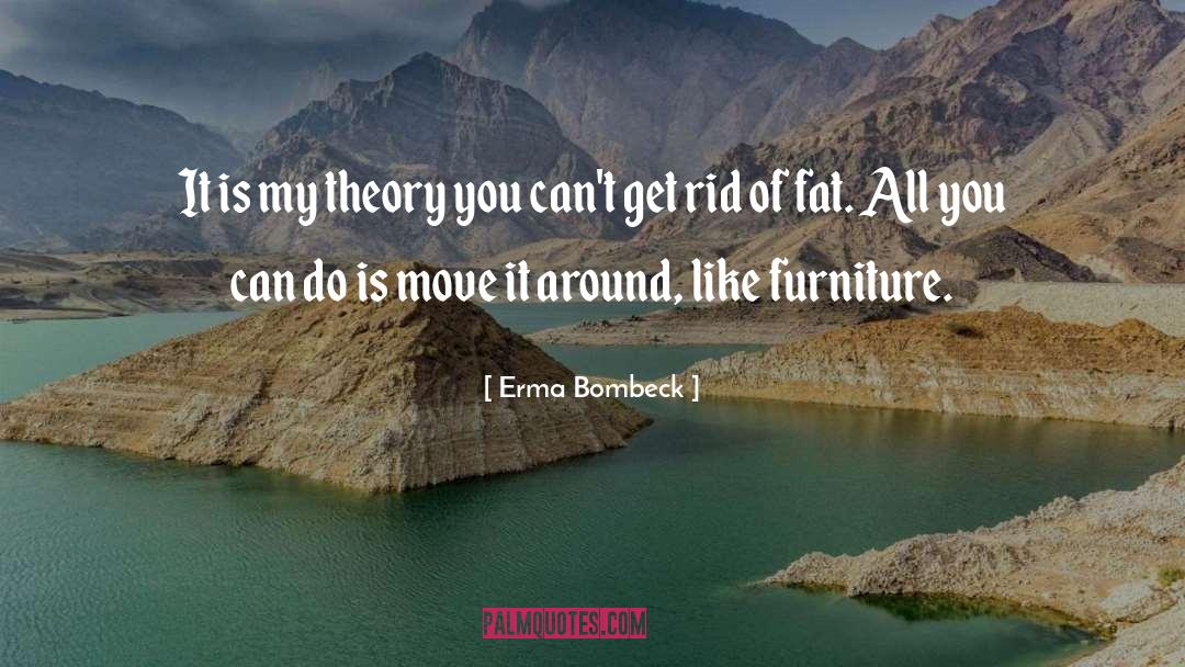 Akthar Furniture quotes by Erma Bombeck