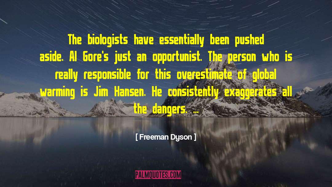 Al Gore Airplane Passport quotes by Freeman Dyson