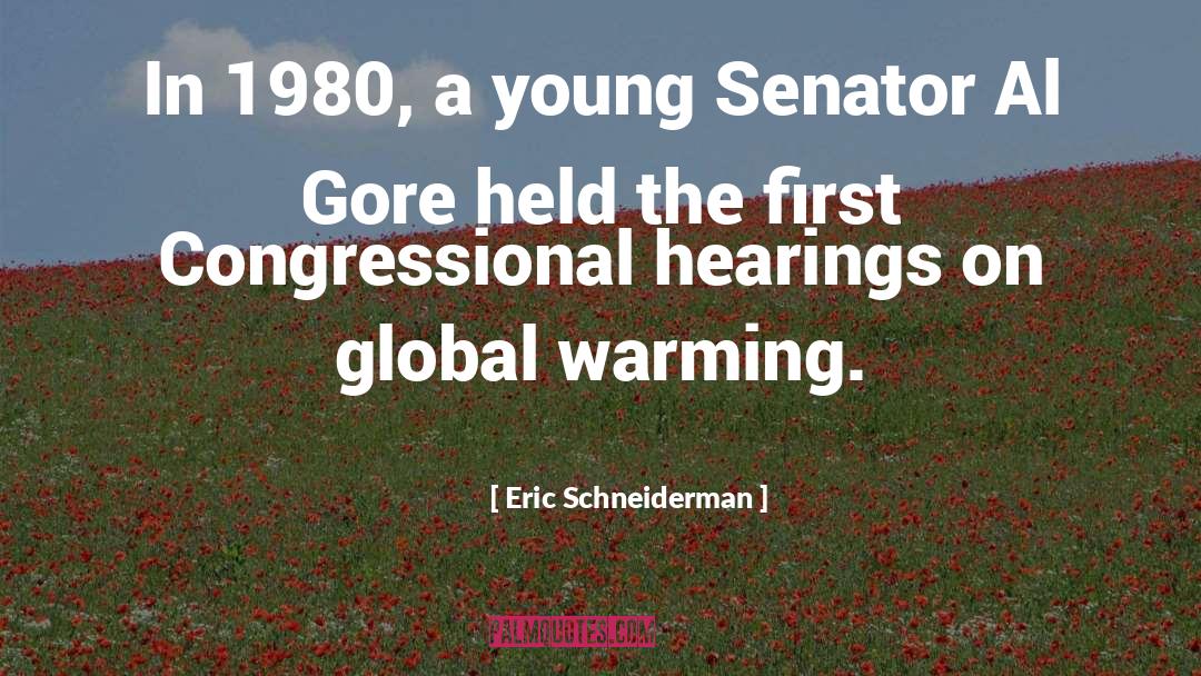 Al Gore quotes by Eric Schneiderman
