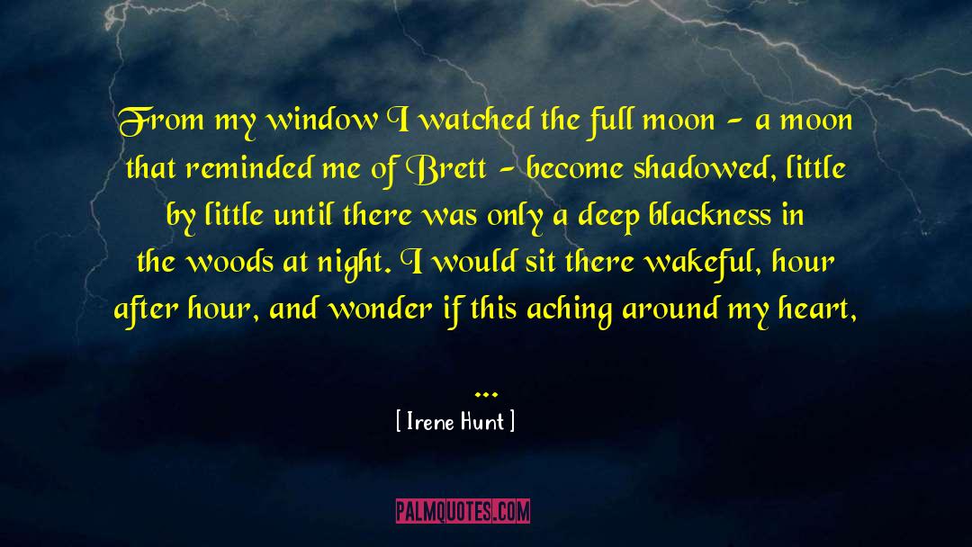 Alabama Moon Memorable quotes by Irene Hunt